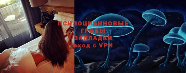 соль ск Бородино