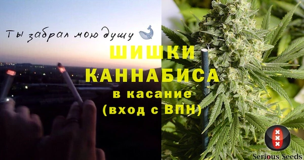 соль ск Бородино