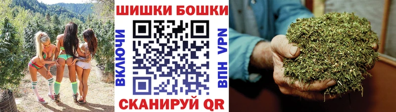 Купить закладки  Нижнекамск  Шишки марихуана планчик 